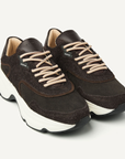 NubikkRossZayDkBrowncomb__2