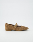 PaulGreen1213-029Braun__1