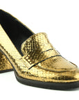 Zinda 2551 Piper Bronce