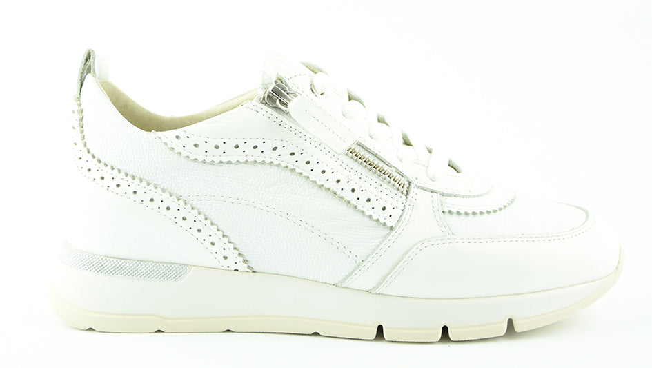 DL sport 6523-04 Sun Bianco