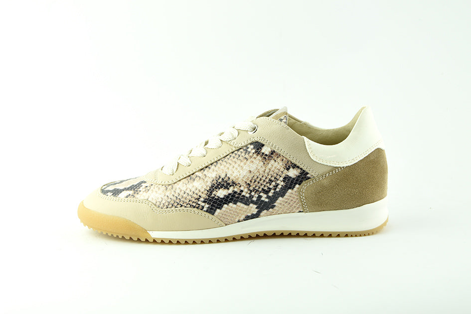 DLsport695201Cordo__1