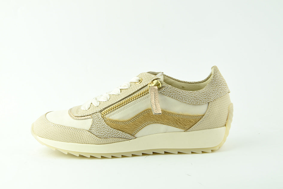 DLsport698801Beigecombi__1