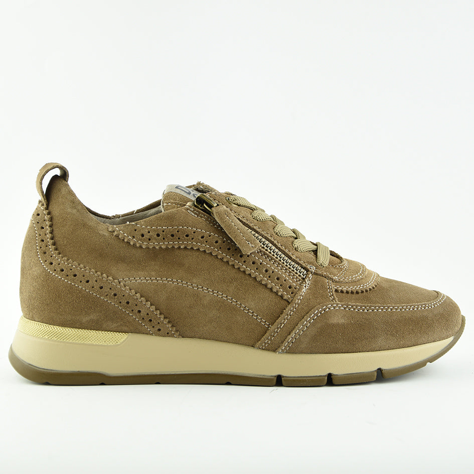 DLsport711607Shore__1