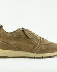 DLsport711607Shore__1