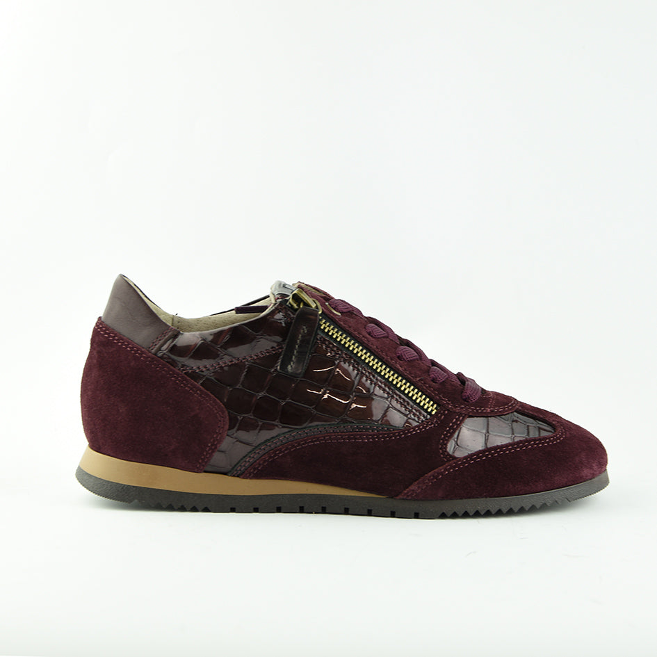 DLsport7135H04Rubino__1