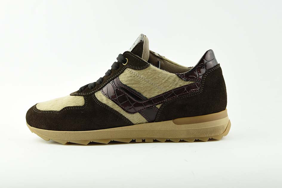 DLsport714201Cacao__1