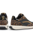 Floris van Bommel Suvi 02.00 Brown leo