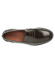 Greve431003Brown__3