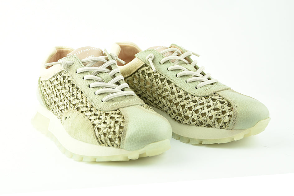 HispanitasRHV264741Alga__2