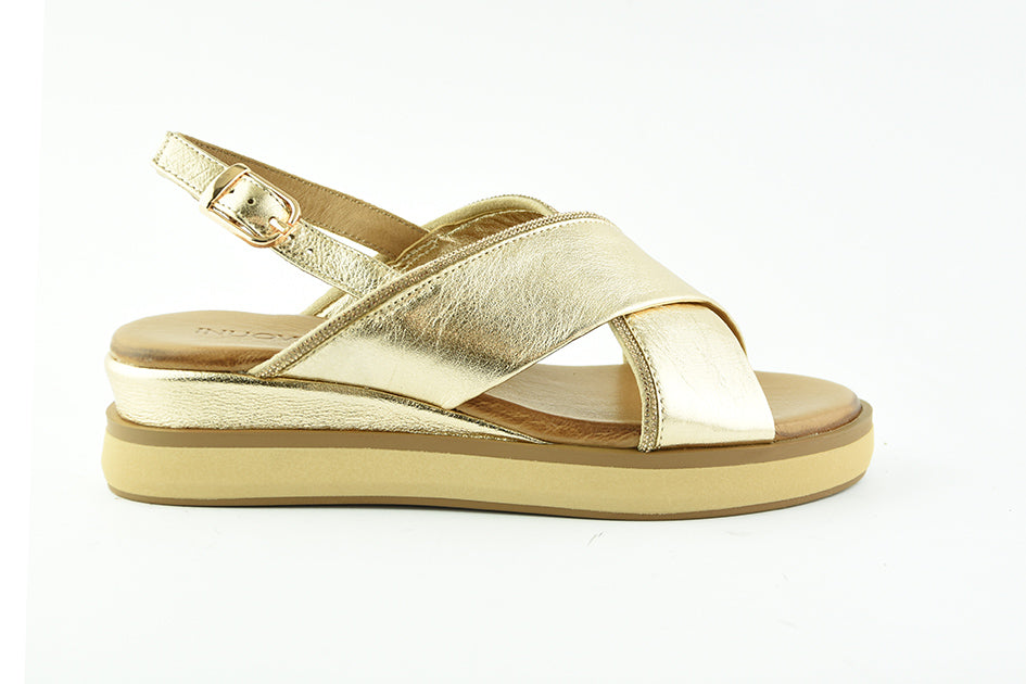 Inuovo1131129Gold__1