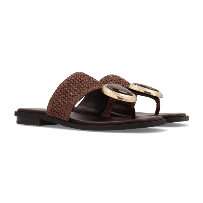 NoaHarmon9970-50Brown__2