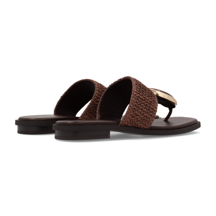NoaHarmon9970-50Brown__3