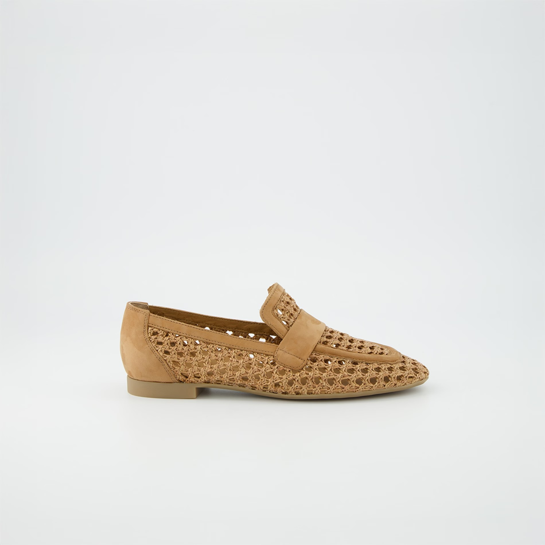 PaulGreen1209-029DivaRoyal__1