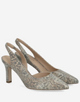 PeterKaiser9-79642-46leopard__3