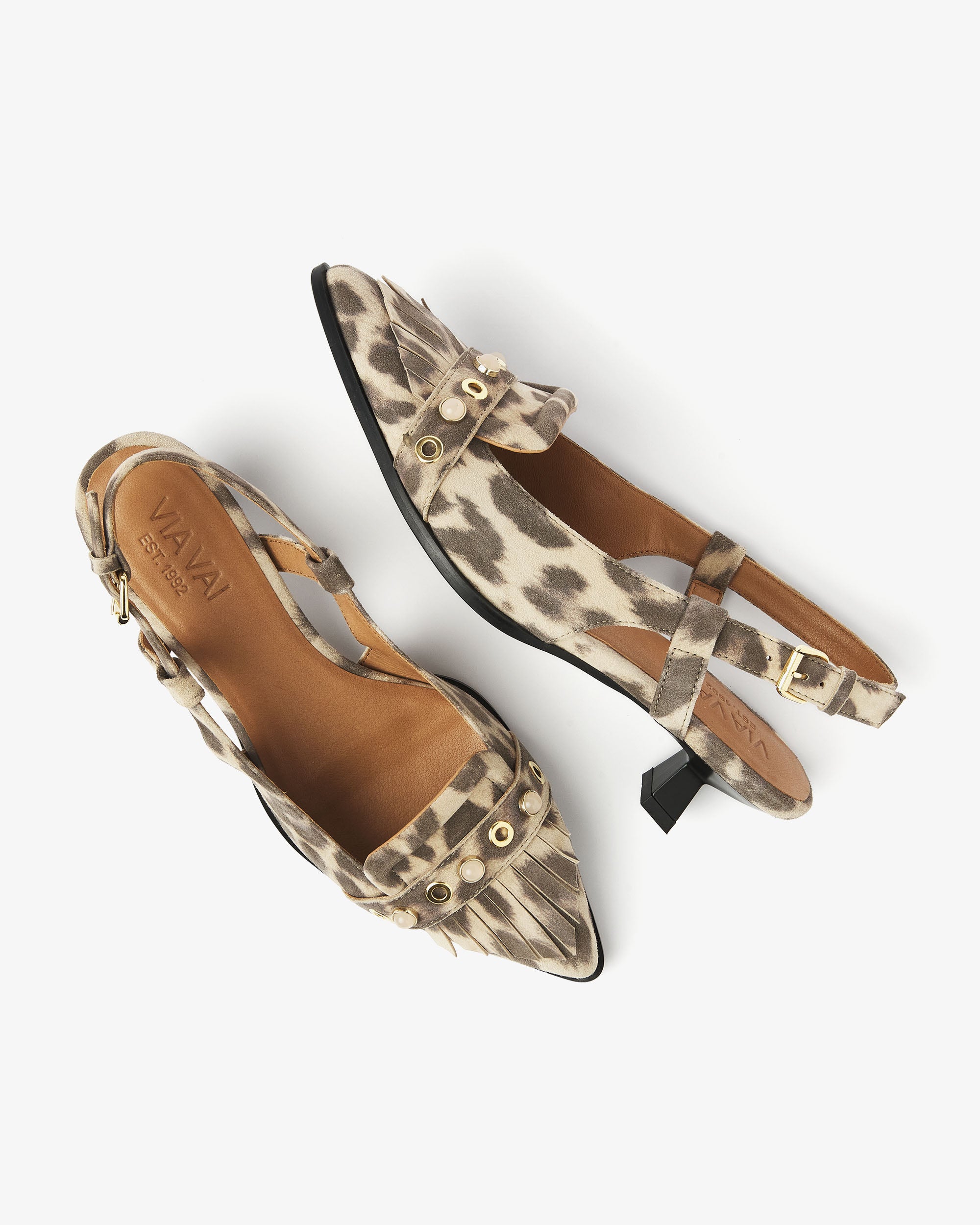 ViaVaiLeaAileenGiaguaro__4