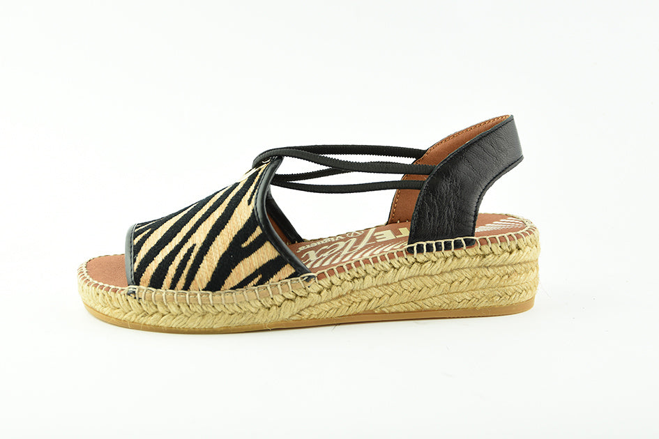 Viguera2299Zebra__1