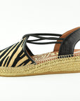 Viguera2299Zebra__1