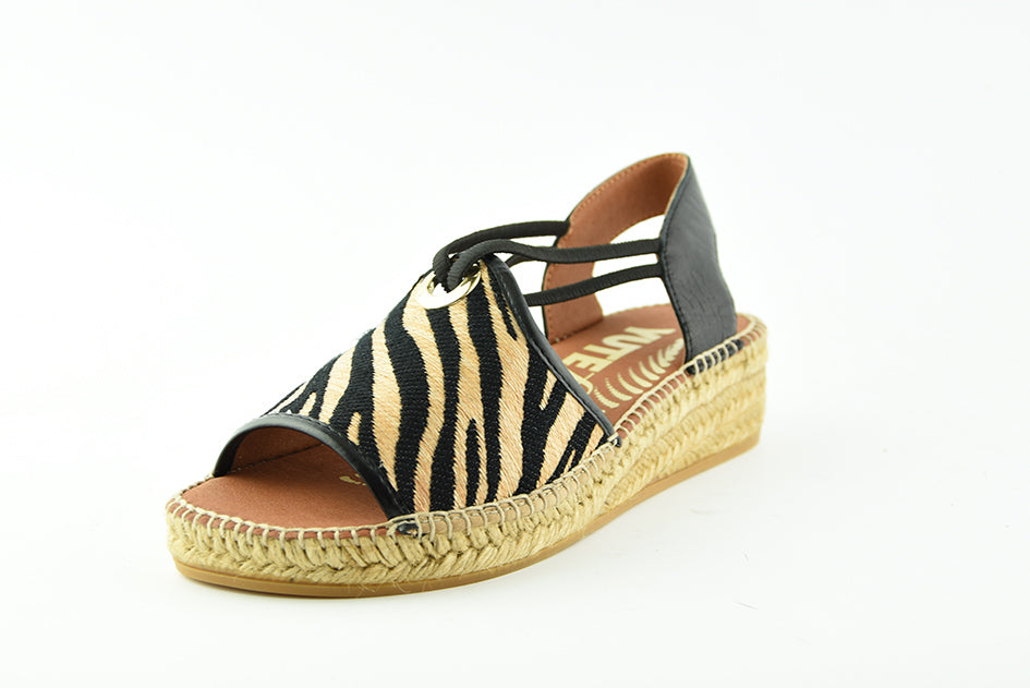 Viguera2299Zebra__2