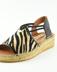 Viguera2299Zebra__2