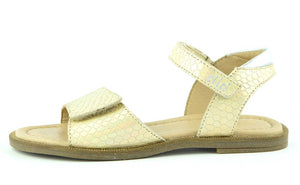 Clic 9185 Champagne