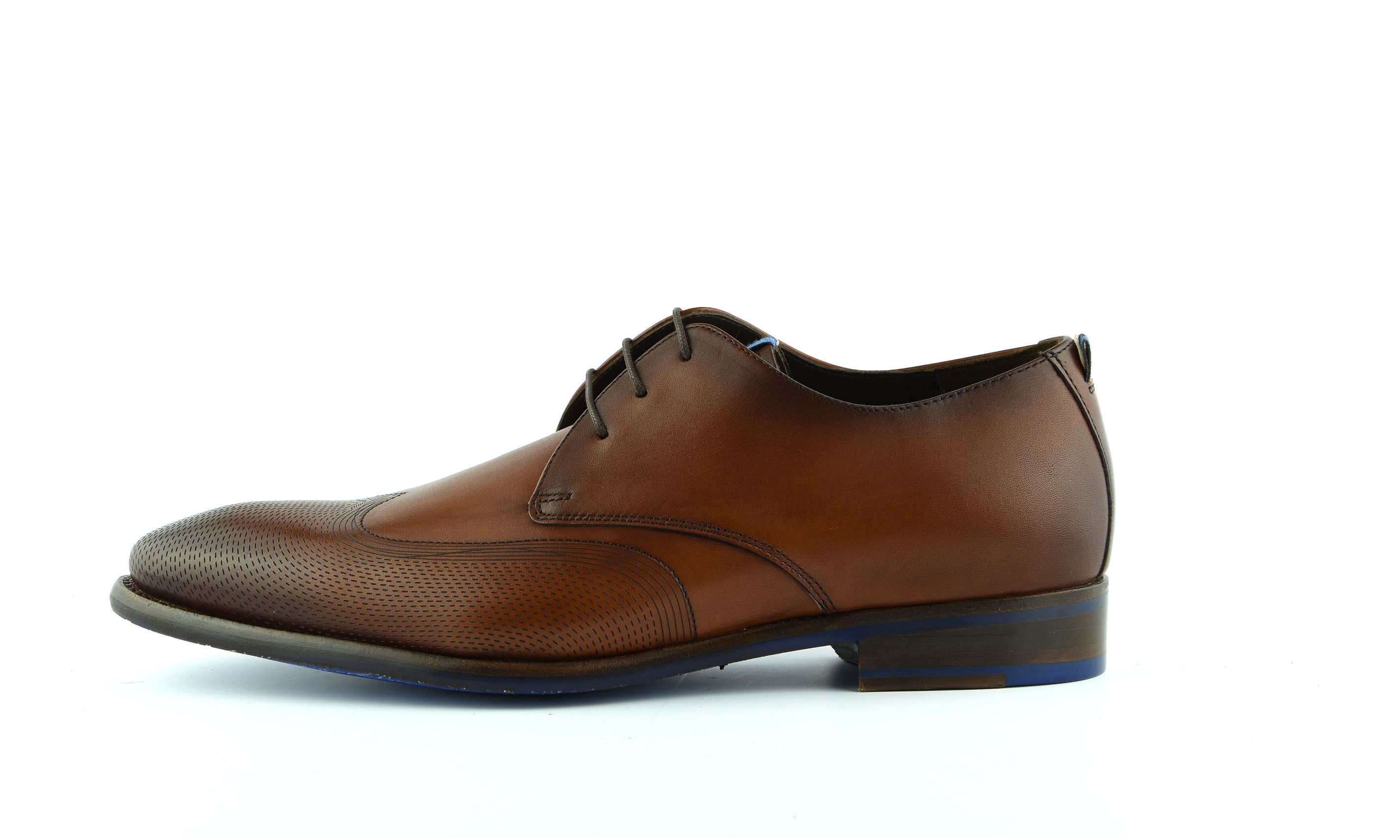 Floris van Bommel 18082/00 cognac
