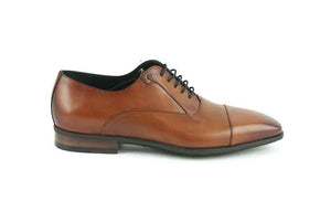 Van Bommel 16218/04 d cognac